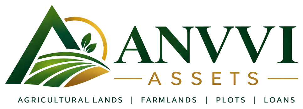 ANVVI Assets